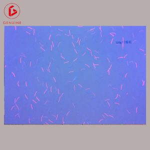uv fiber paper