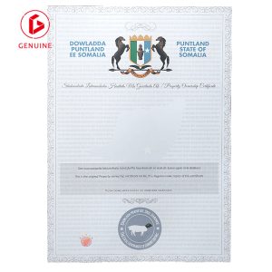 Property Certificate