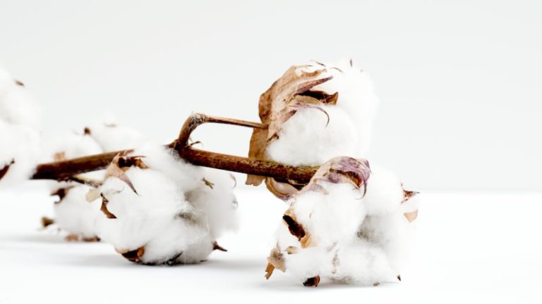 Cotton paper raw materials