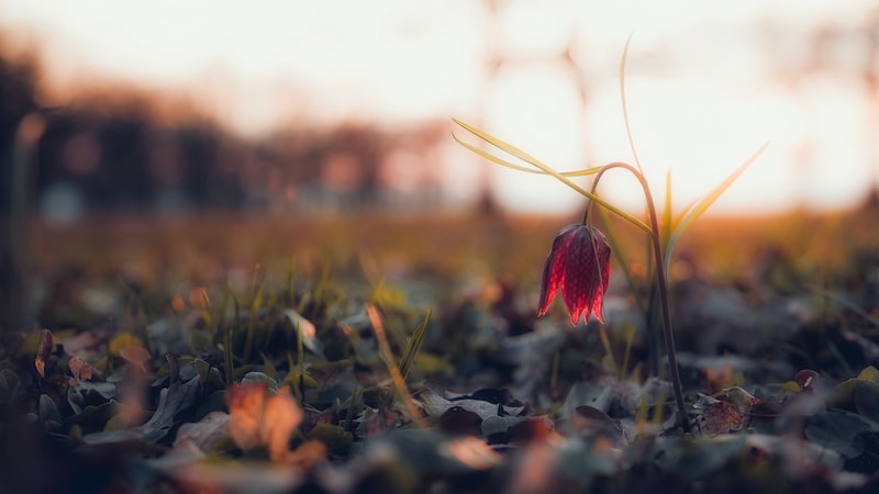 Latest Environmental Technology