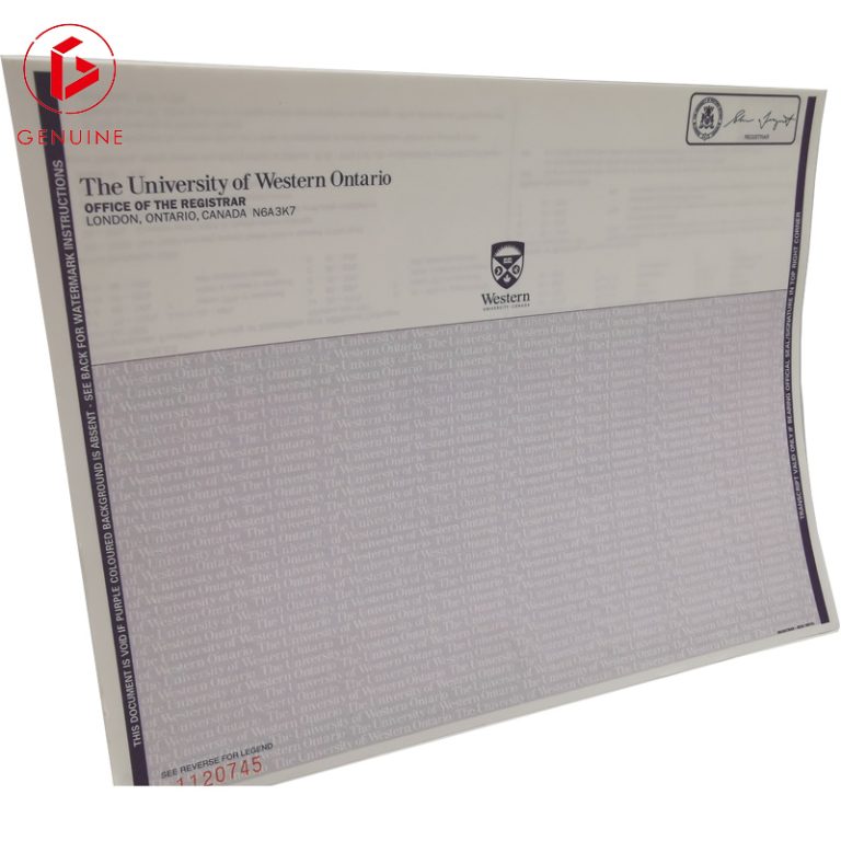 the university of western ontario transcript certificate