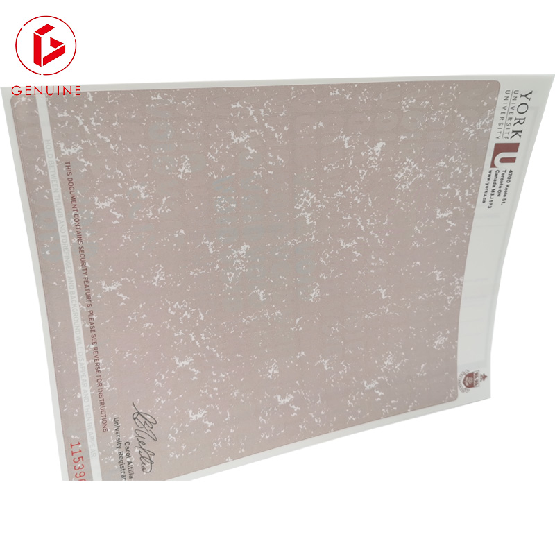 university certificate 1