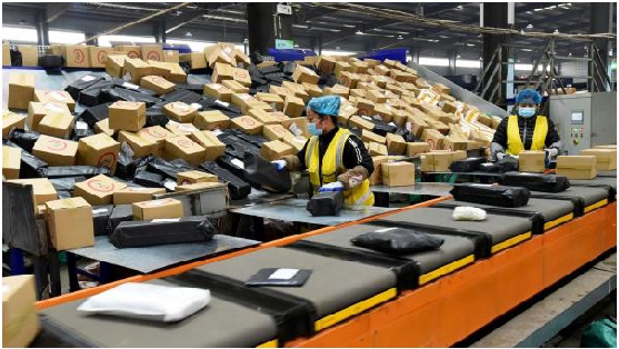 Courier sorters are sorting express parcels