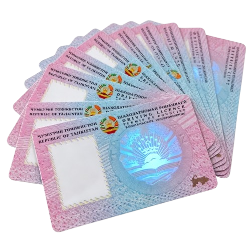 National-Driver's-License-Card